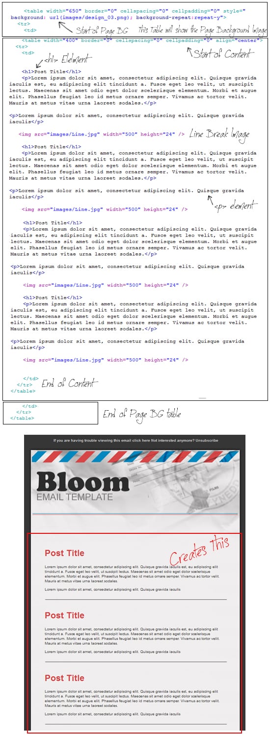 Create an HTML Email Template From Scratch -DesignBump