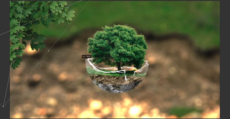 Create a Tree Sphere Photo Manipulation in Photoshop -DesignBump