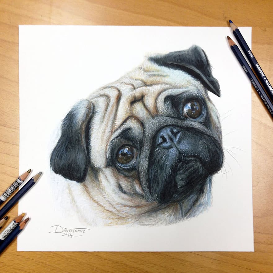 17 Expressive Pencil Drawings By Dino Tomic -DesignBump