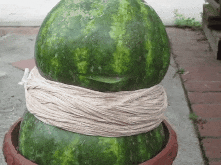 35 Magical Science Experiments You Won't Believe! -DesignBump