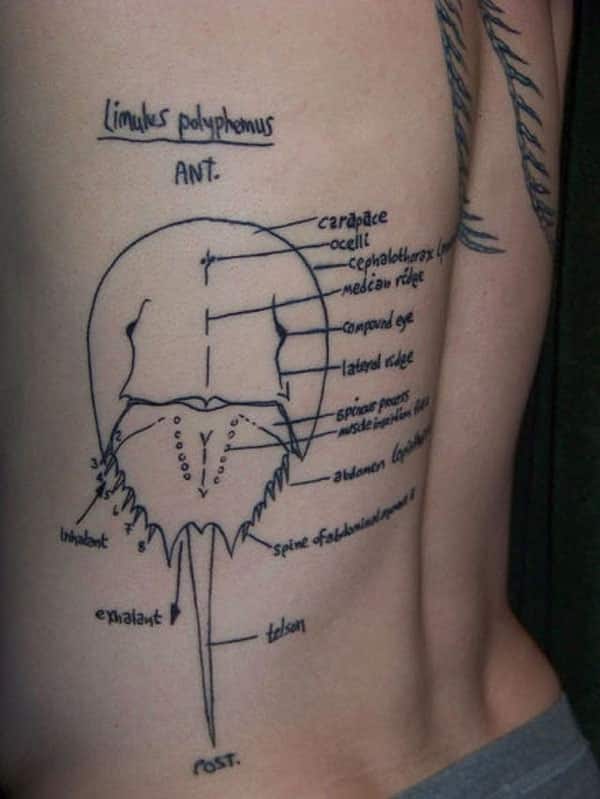 55 Amazing Math Tattoos and Science Tattoos, Maths Tats